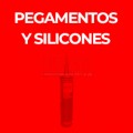 PEGAMENTOS Y SILICONES